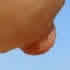 c_nip0577.jpg