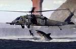 shark_a077.jpg